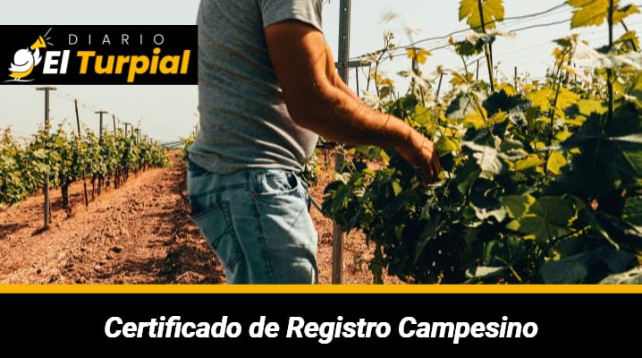 Certificado de Registro Campesino: Requisitos y documentación para tramitarlo