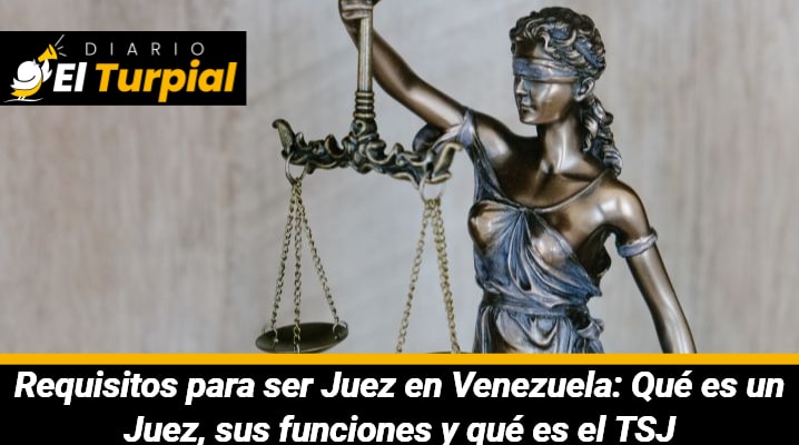 Requisitos para ser Juez en Venezuela: Qué es un Juez, sus funciones y qué es el TSJ